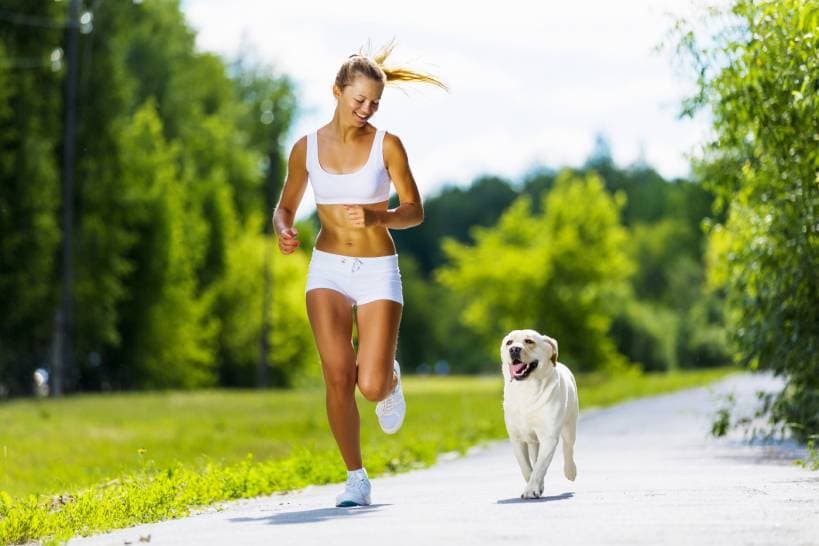 How to choose a dog for the city?