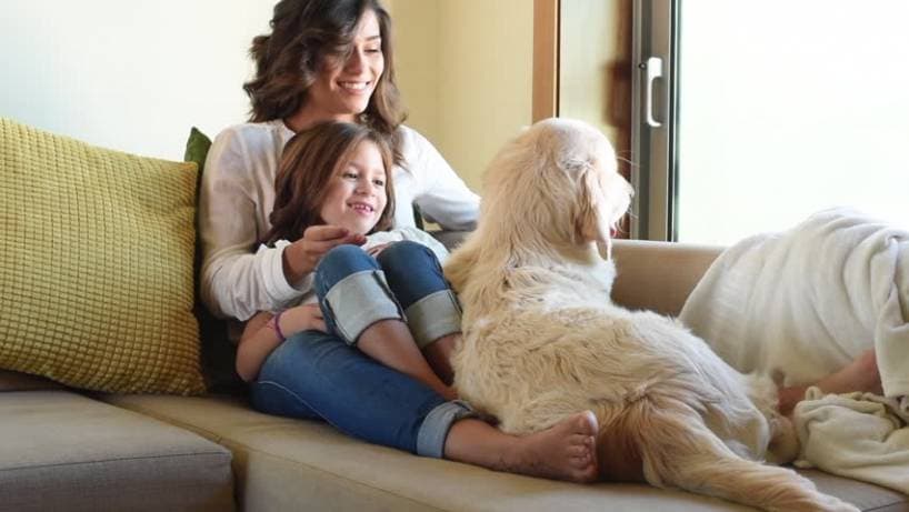 The Surprising Tale of 'A Dog Among People'