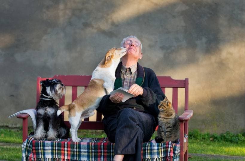 Who is a leader - you or your dog?