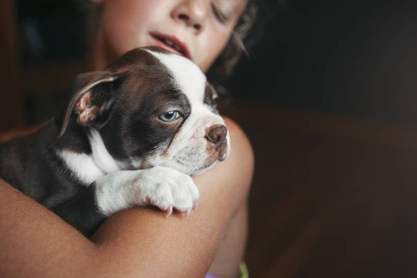 How to train your puppy to follow orders?