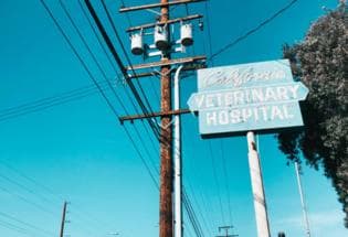 California Veterinary Hospital