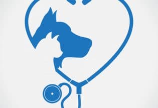 California dog and cat hospital