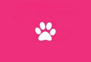 California Pet Hospital