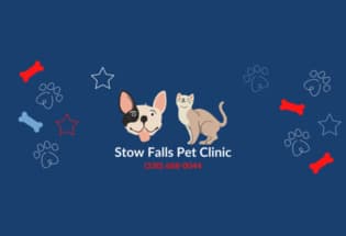 Stow Falls Pet Clinic