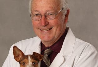 Brookhollow Vet Clinic