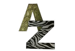 A to Z Veterinary Clinic & Rehabilitation Center