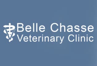 Belle Chasse Veterinary Clinic