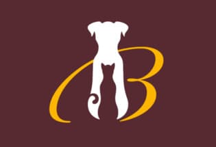 Bellevue Animal Clinic