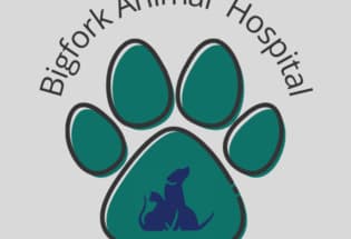 Bigfork Animal Hospital