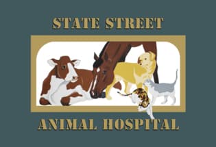State Street Animal Hospital, PC