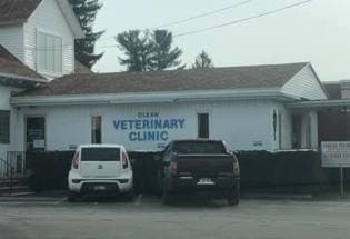 Olean Veterinary Clinic