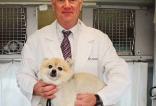 Florida Veterinary Clinic