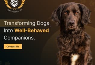 Controlled K9