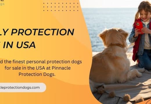 Family Protection Dogs in USA | Pinnacle Protection Dogs