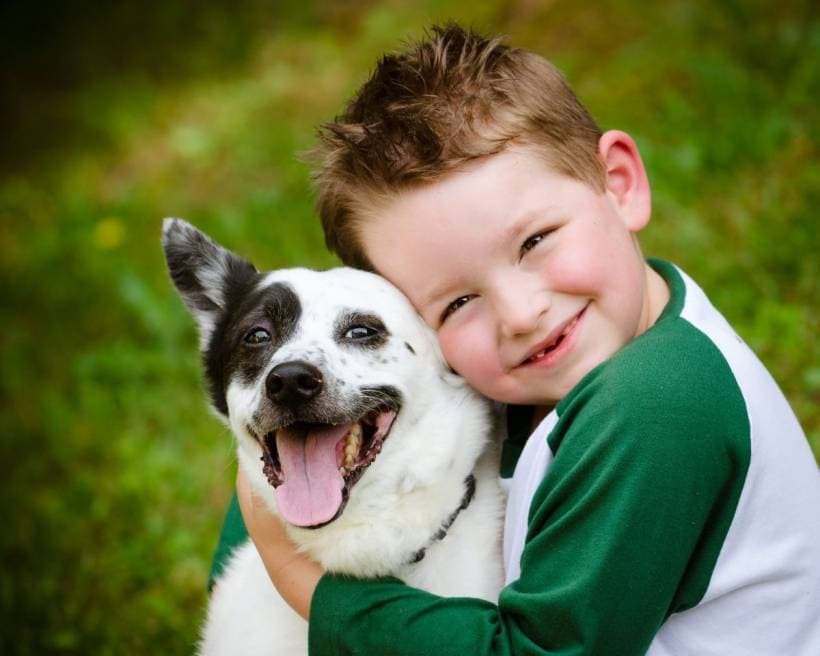 Dog Care Tips