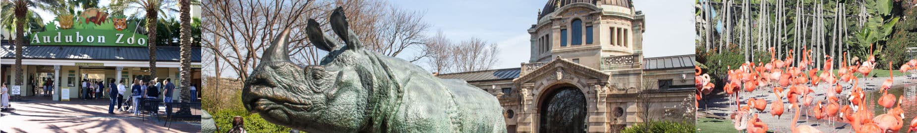 Top 10 Most Popular Zoos in the U.S.