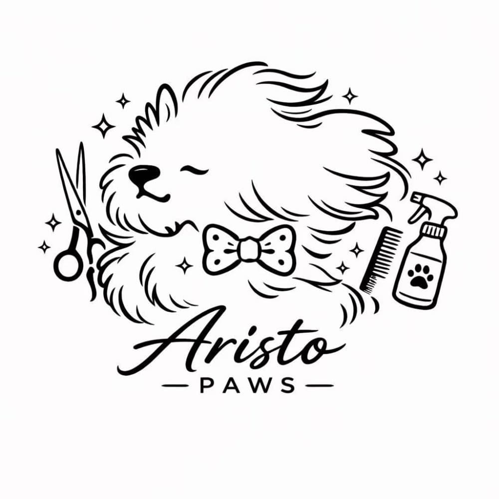 Aristo ✦ Paws