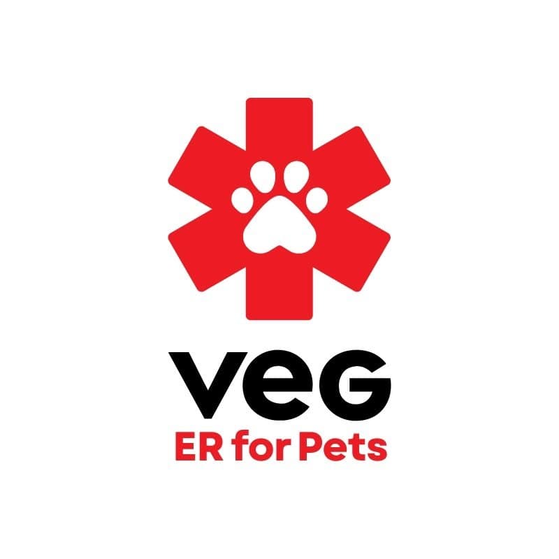 VEG Boston — photo 1