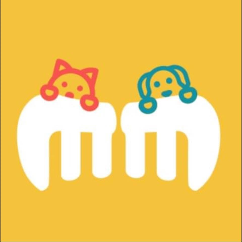 Mimados Pet Grooming — photo 1