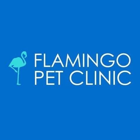 Flamingo Pet Clinic