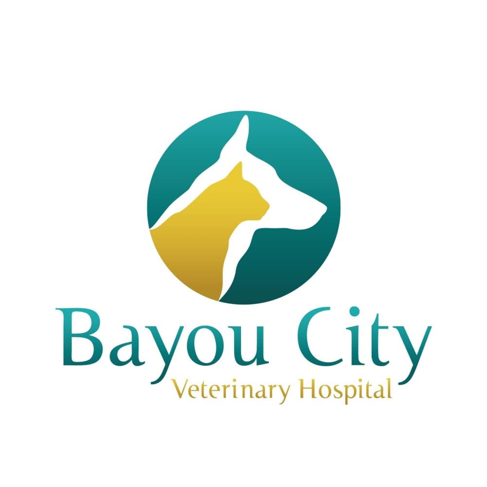 Bayou City Veterinary Hospital