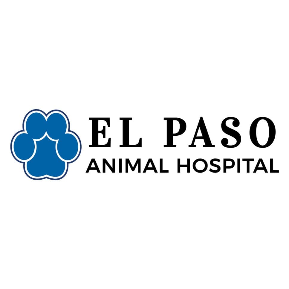 El Paso Animal Hospital — photo 1