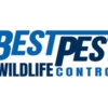 Other reptilies Best Pest & Wildlife Control