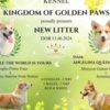 Welsh Corgi, Pembroke Welsh Corgi Pembroke puppies for sale