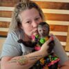 Capuchin Baby Capuchin Monkeys For Sale