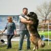 Caucasian Shepherd Dog Caucasian Shepherd puppies