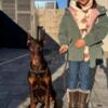 Doberman Pinscher Doberman