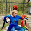 Macaw Macaw Parrots for Sale