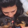 Rottweiler Rottweiler puppies for sale