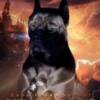 Cane Corso Cane Corso puppies