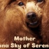Poodle Red TOY POODLES, top litter of champion origin