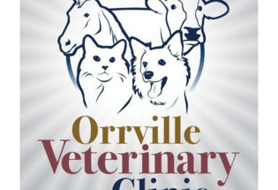 The Orrville Veterinary Clinic The Orrville Veterinary Clinic