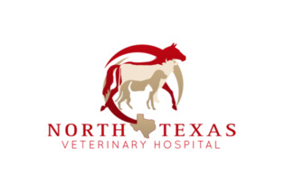 North Texas Veterinary Hospital North Texas Veterinary Hospital