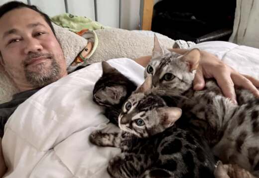 Bengal kittens , contact via email: (for.your.inquiries99@gmail.com)