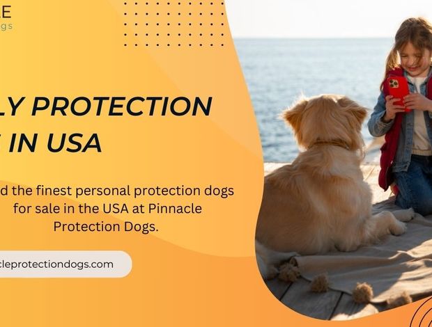 Belgian Shepherd Dog (Malinois) Family Protection Dogs in USA | Pinnacle Protection Dogs