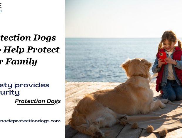 Anatolian Shepherd Dog Choose a Protection Dogs for Ladies Safety | Pinnacle Protection Dogs