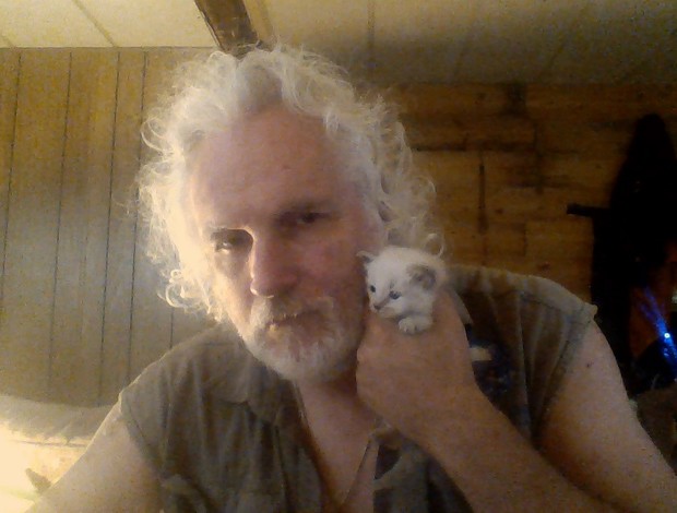 Siamese Siamese Cats