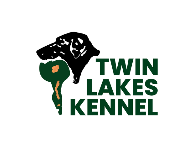 Labrador Retriever Twin Lakes Kennel