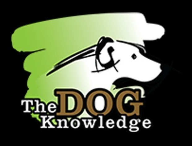 Golden Retriever The Dog Knowledge