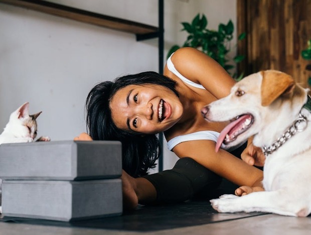 Afghan Hound Felix and Fido