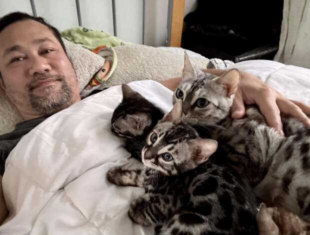 Bengal Bengal kittens , contact via email: (for.your.inquiries99@gmail.com)