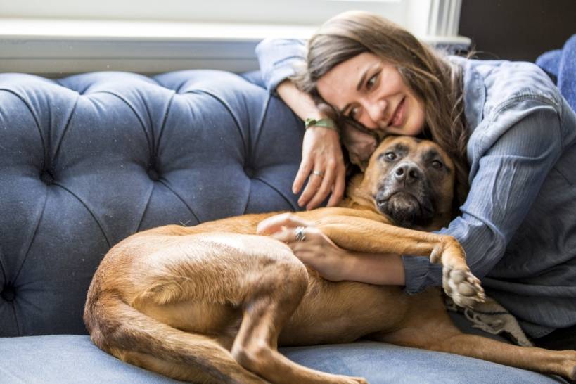 Everything you wanted to know about your dog: wool