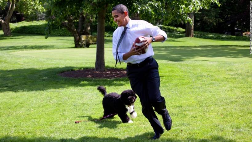 Top 10 Most Famous American President's Dogs