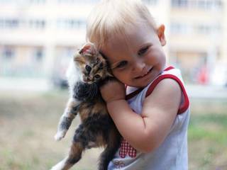 Does your cat loves you? 10 Signs of love in this article!