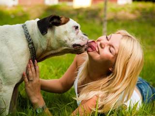 Dogs who love and treat us