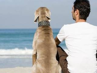 A guide dog, psychological help for a man